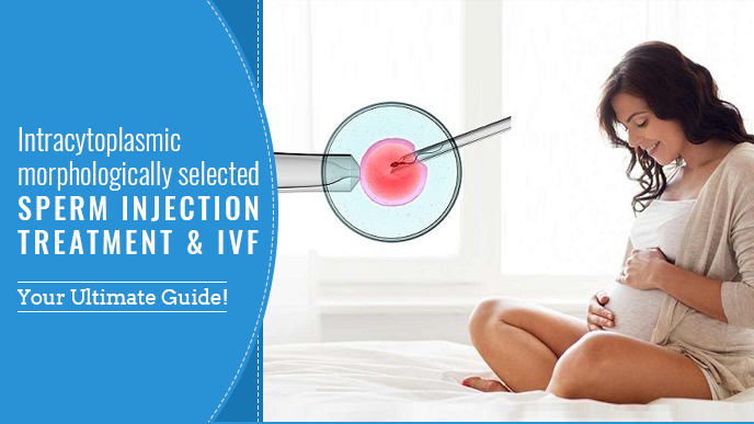 Intracytoplasmic morphologically selected sperm injection Treatment and IVF – Your Ultimate Guide