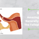 6 Amazing Tips to Naturally Unblock The Fallopian Tubes