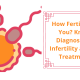 How Fertile Are You_ Know Diagnosis Of Infertility and Its Treatment