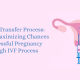 Embryo Transfer Process Tips for Maximizing Chances of Successful Pregnancy Through IVF Process