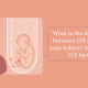 What is the difference between IVF and test-tube babies-Debunking IVF Myths